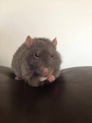 Re: September 2014 Brides :)