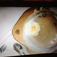 Log slices for sale - SOLD