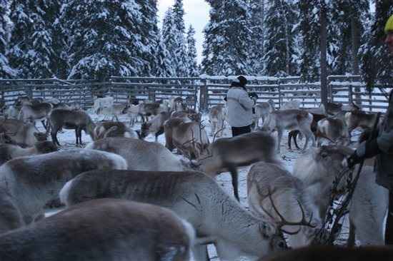 Re: Northern Lights Honeymoon