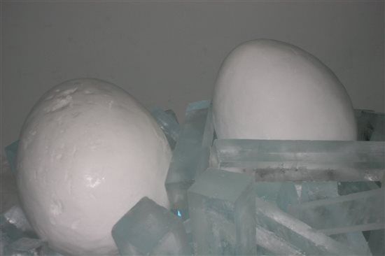 Re: Northern Lights Honeymoon