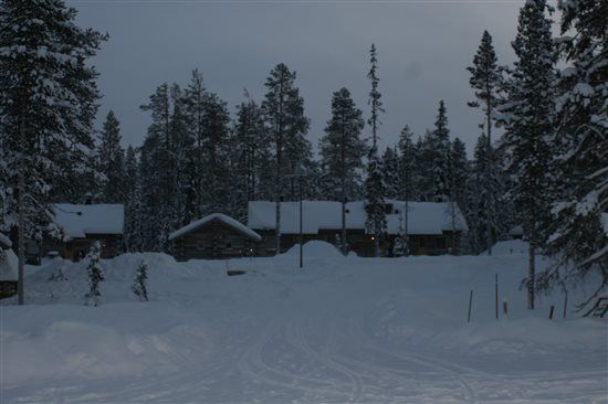 Re: Northern Lights Honeymoon