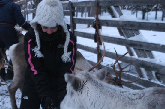 Re: Northern Lights Honeymoon