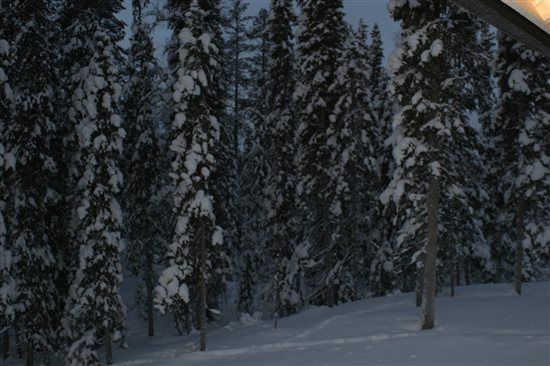 Re: Northern Lights Honeymoon