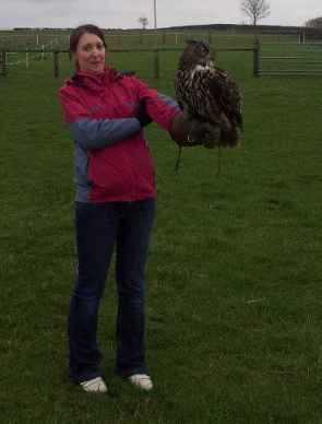 Re: Barn owls in Ulster...