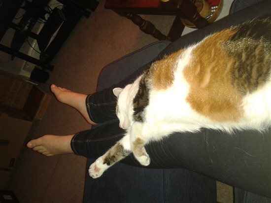 Re: I'm stuck