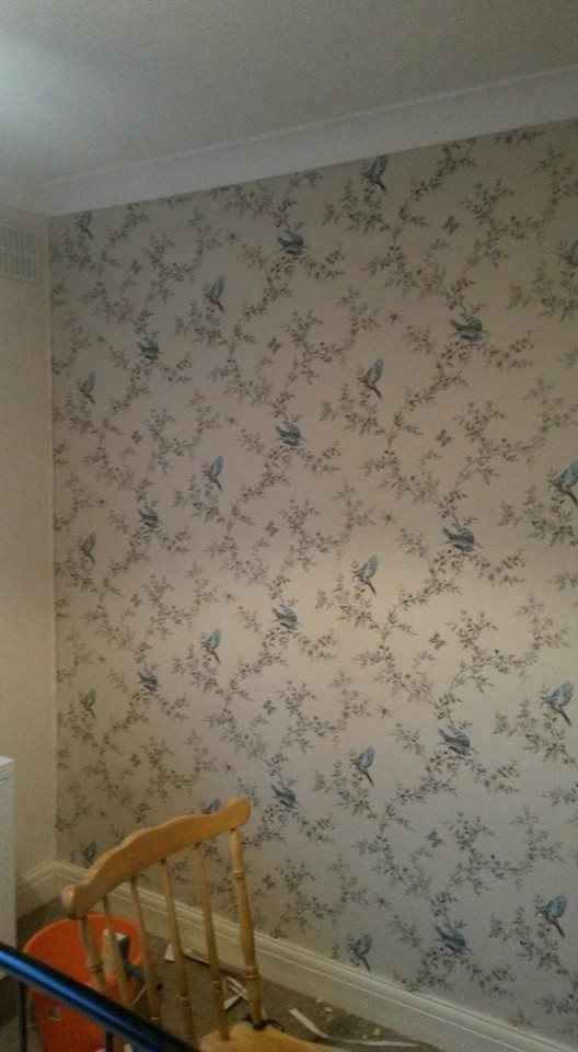 Re: Feature walls - yes or no?