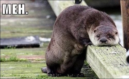 This is me today....