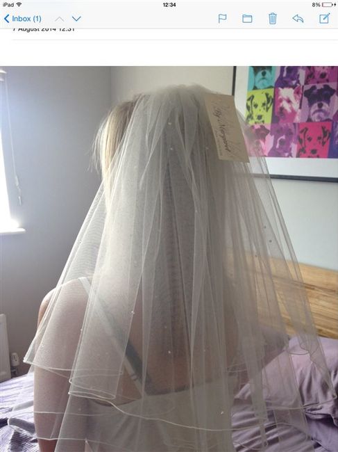 Re: If you're looking for a good priced veil......