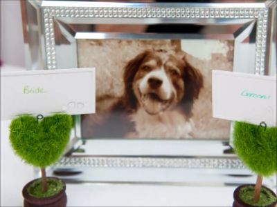 Re: My wedding pictures!