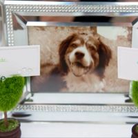 Re: My wedding pictures!