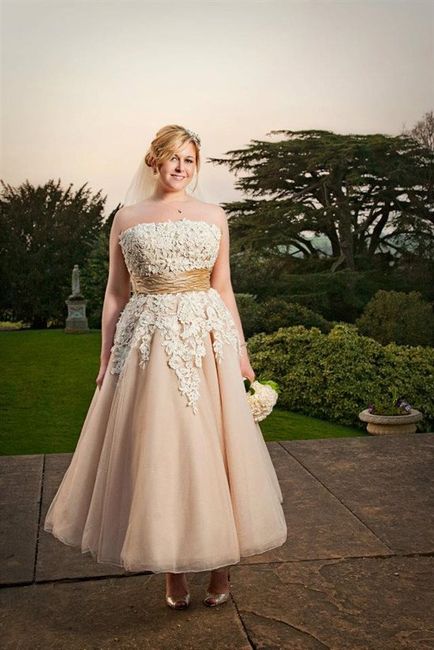 Re: FUN POST! What made you choose your dress?