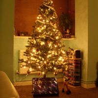 Re: OT *Flash* your christmas trees