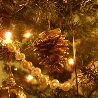 Re: OT *Flash* your christmas trees