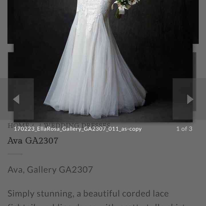 Kenneth Winston Ava in Champagne - 2