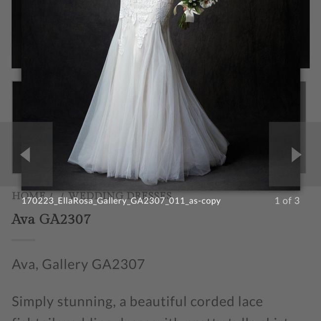 Kenneth Winston Ava in Champagne - 2