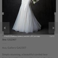 Kenneth Winston Ava in Champagne - 2