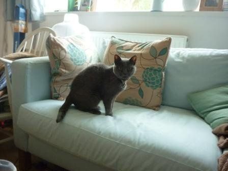 Re: *Flash* Please tell me your house is full of boxes of wedding junk too?!