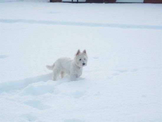 Re: I take back everything I said....