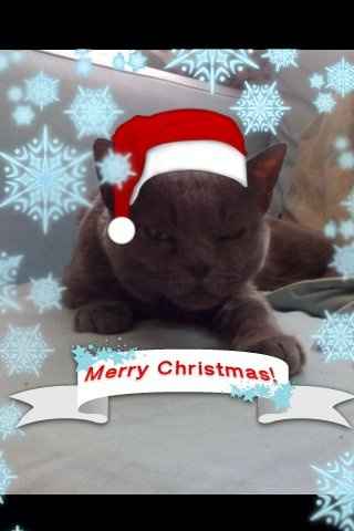 Re: I am very poorly... flash me everything to cheer me up!