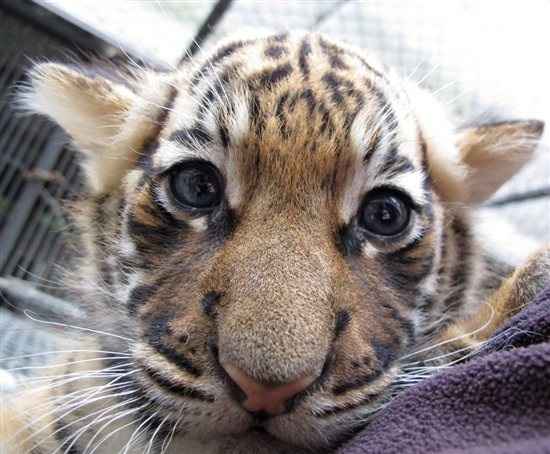 Re: Computer screensavers