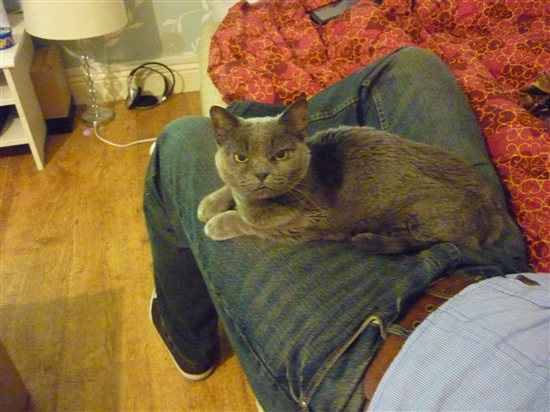 Can I have some positive thoughts for Audrey?