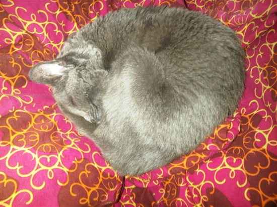 Re: Mrs Custard's Leaving Pardee! [D]