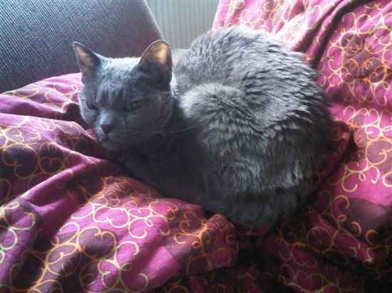 Re: Mrs Custard's Leaving Pardee! [D]