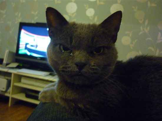 Re: *** Good Luck BLONDE VIKI!*** ~ 14th July 2012