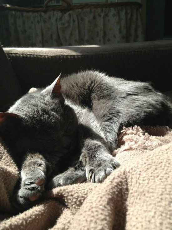 Re: eeeeeek!  I can't look at my ticker!!!