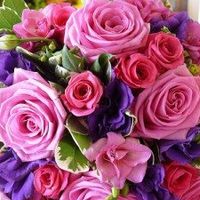 your thoughts please