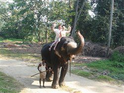 Re: Sri Lanka - Tour or Excursions