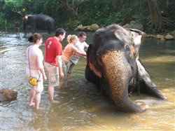 Re: Sri Lanka - Tour or Excursions