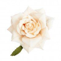 Hair Accessory Thoughts Please!!! **FLASH**