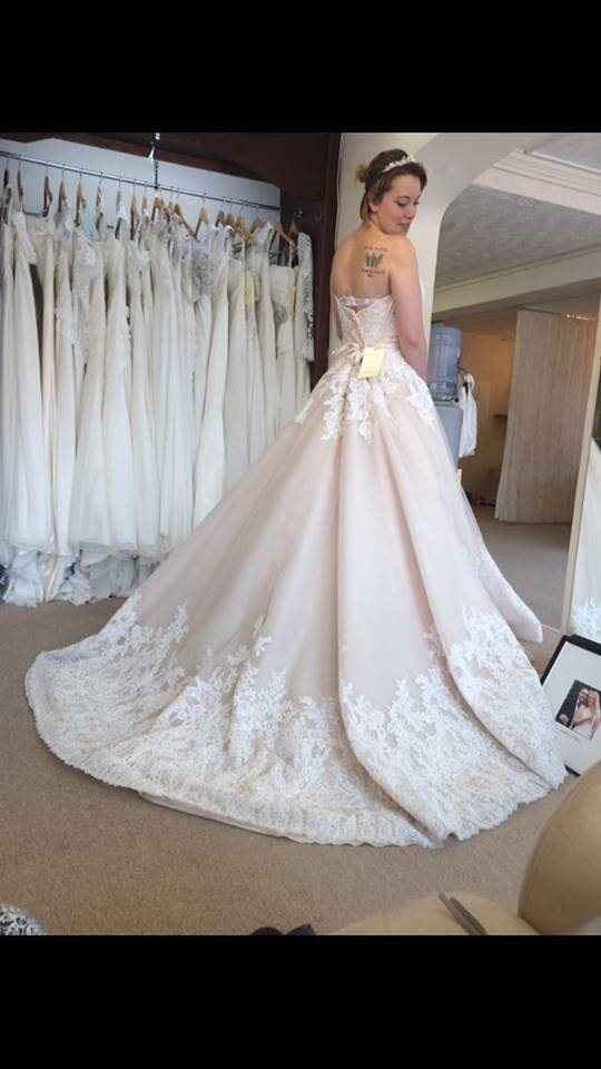 I'm back & Planning!