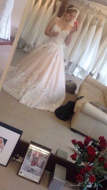 I'm back & Planning!