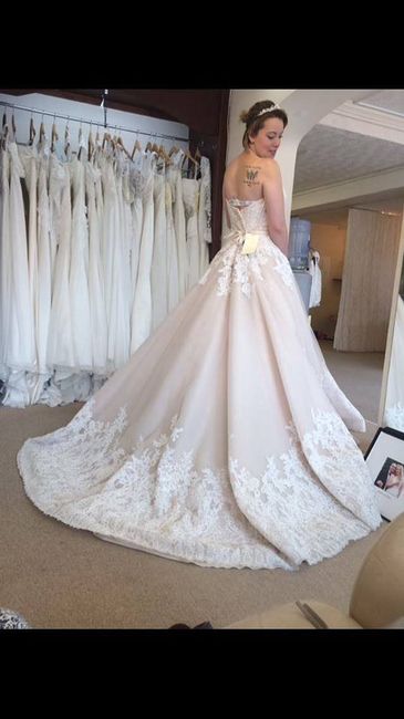 I'm back & Planning!