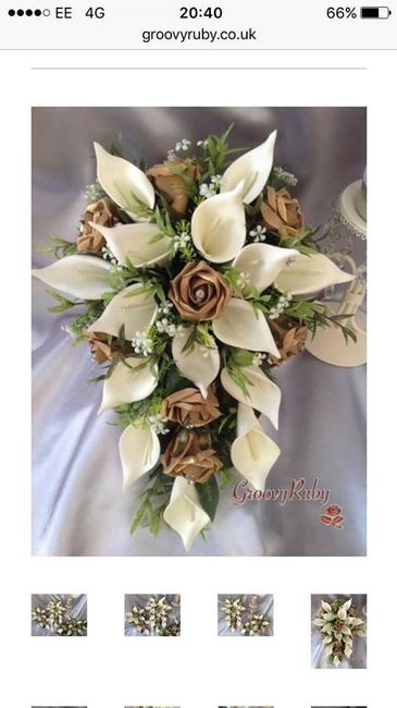 I'm back & Planning!