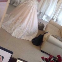 I'm back & Planning!