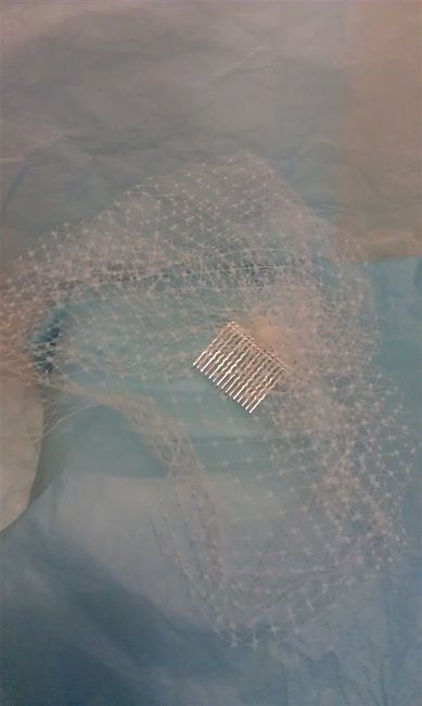 Re: Ivory birdcage veil