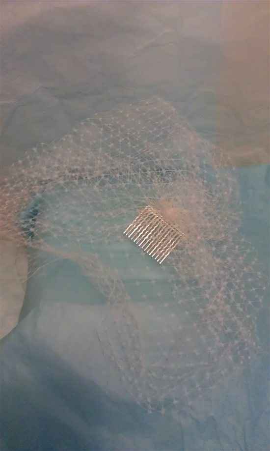 Re: Ivory birdcage veil