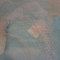 Re: Ivory birdcage veil