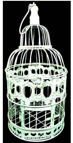 Re: Wanted:  Vintage reception accessories, particularly bird cages