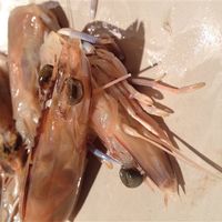 Re: What was the last photo you took? (pssst, Tayto, with reference to you!)