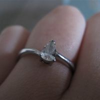 Re: Anyone interested in a ring flash?