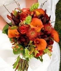 Re: calla lillies?