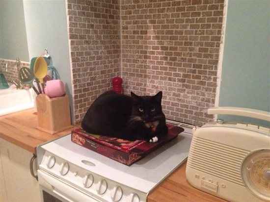 Re: Flash me your kitchens please