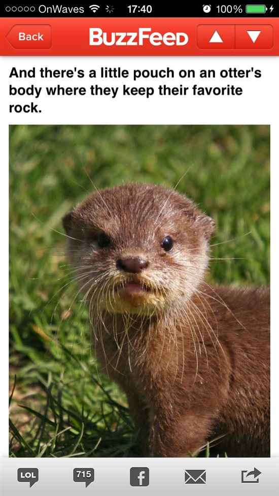 Otters