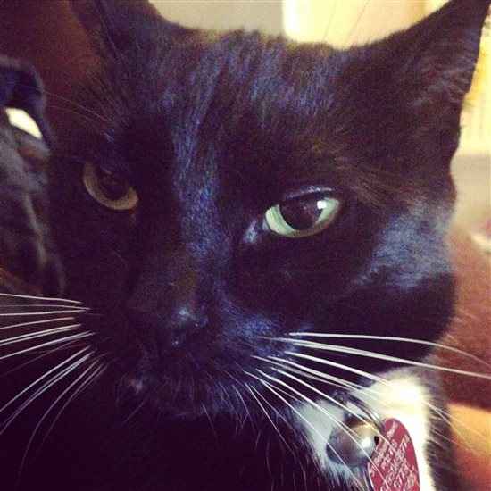 Re: Show me your pets