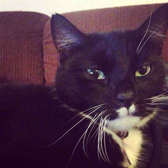 Re: Show me your pets