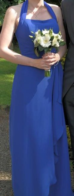 Blue Kelsey Rose Dress 